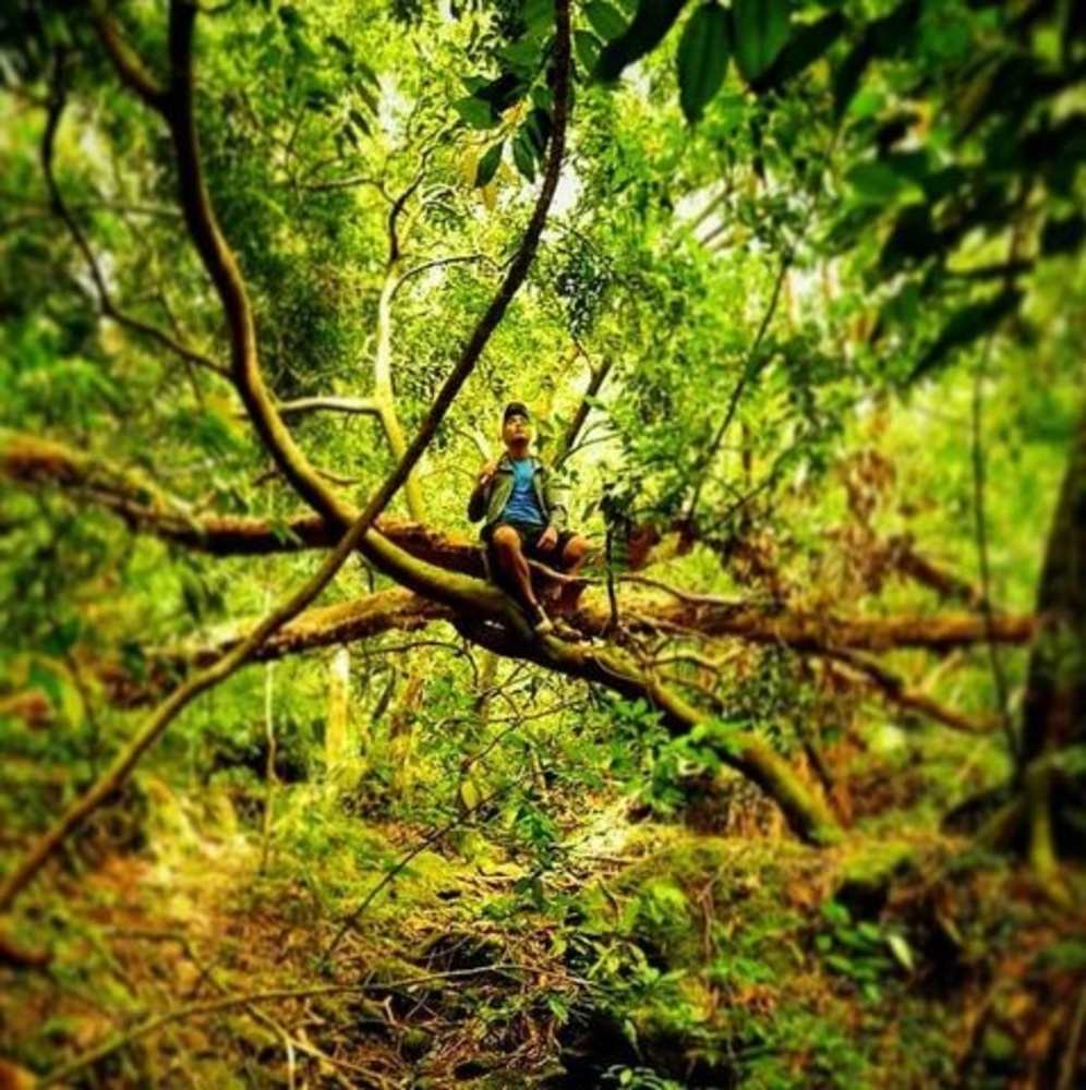 Meet your Posher, Jordan